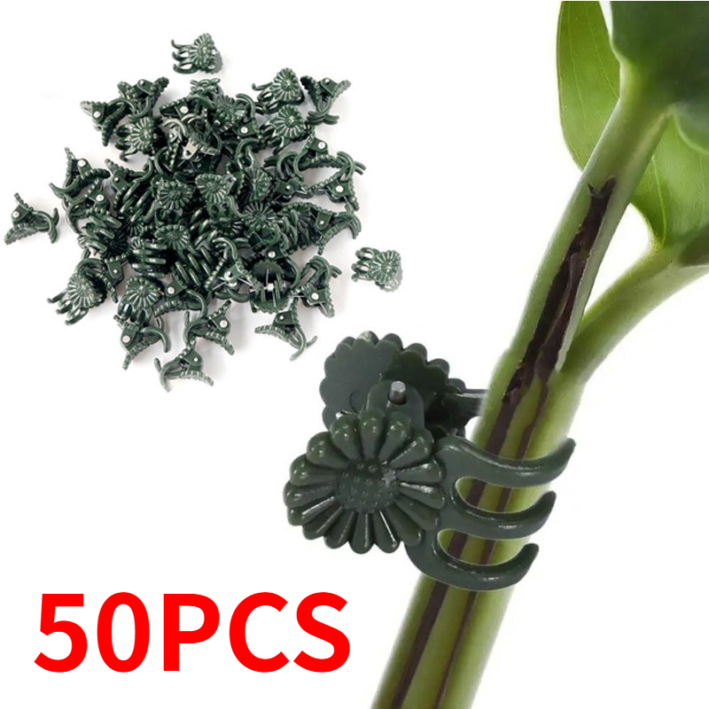50 шт. 5-зубчатых темно-зелены – обзор и цена Florist Supply Bulk