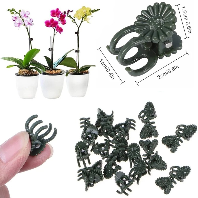 50 шт. 5-зубчатых темно-зелены – обзор и цена Florist Supply Bulk