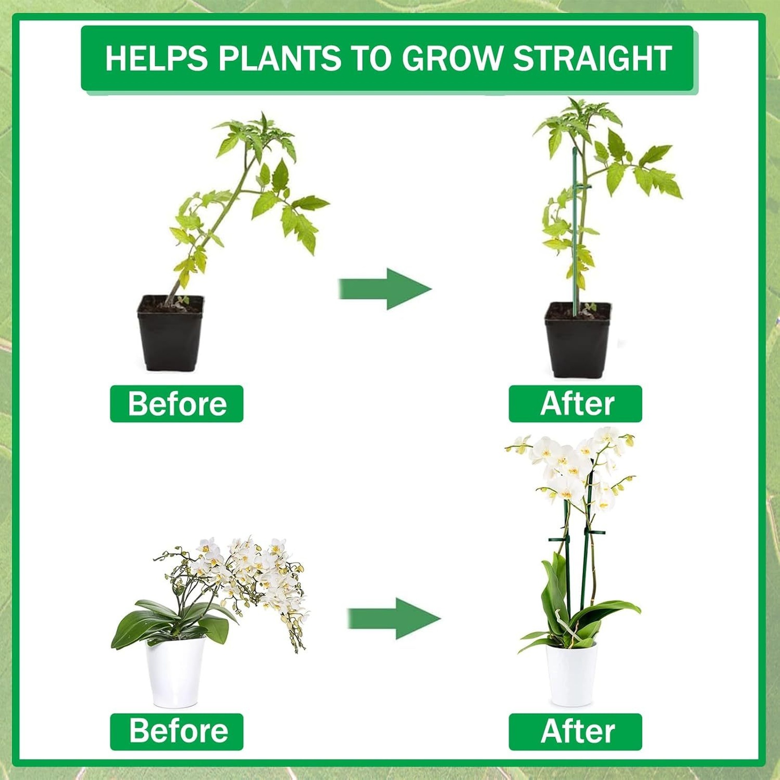 Опоры для растений: регулируем – обзор и цена Florist Supply Bulk