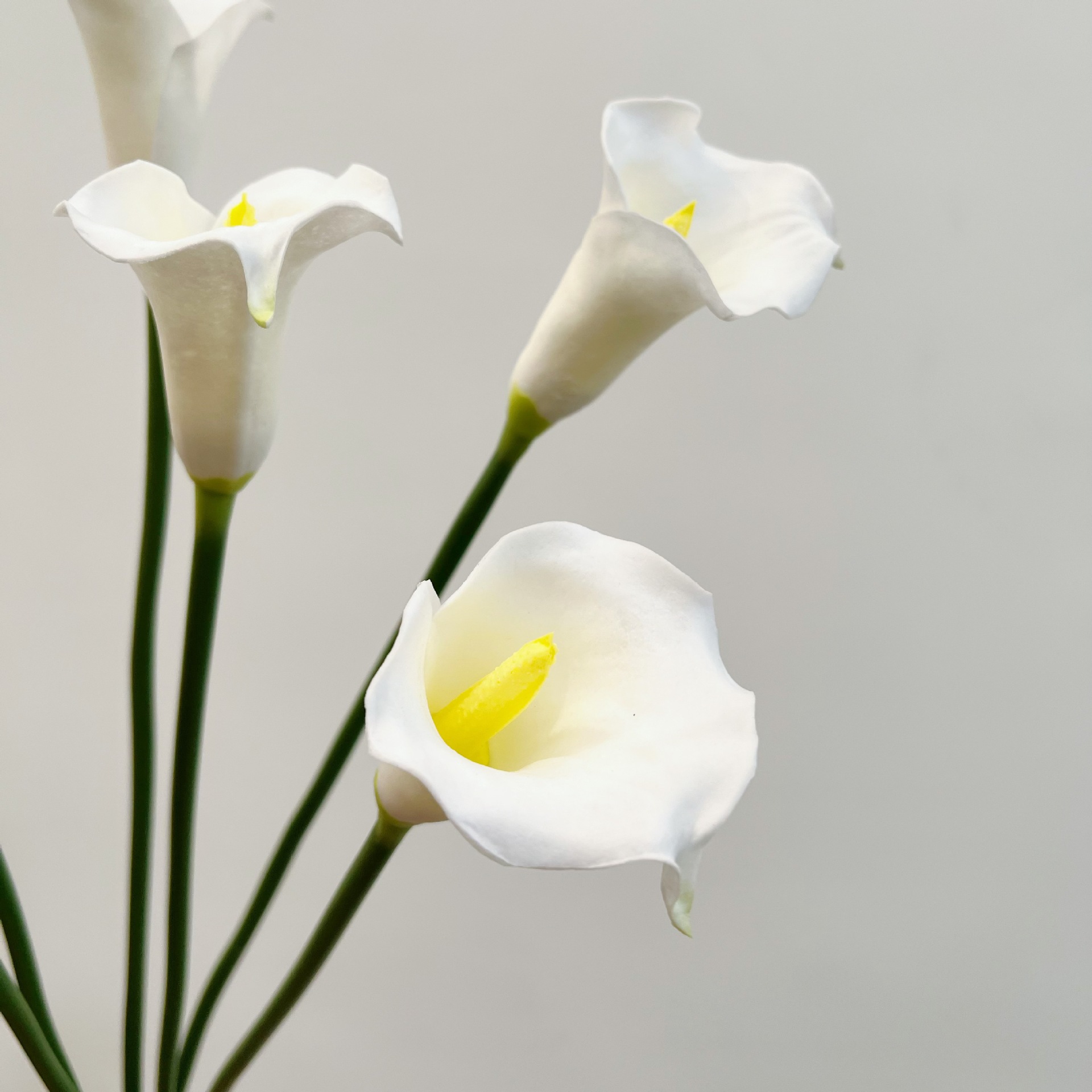 Искусственный цветок каллы (26 – обзор и цена Florist Supply Bulk